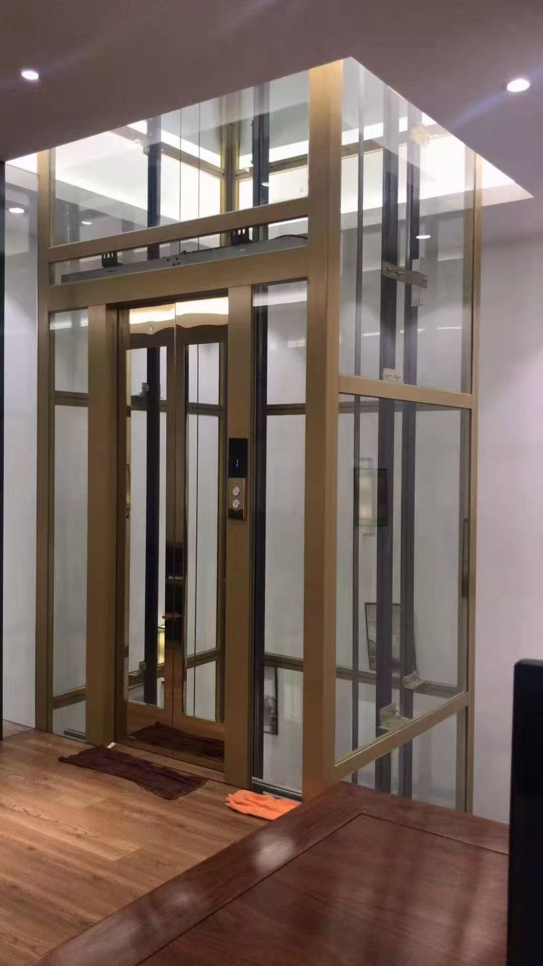 曳引观光式家用电梯产品案例